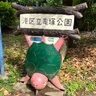 Фото профиля カメ太郎