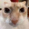 John Smith's profile picture