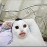ngaji.nah 的头像