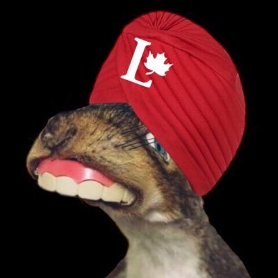 MAGAWARRIORRTD's profile picture