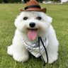 TWSTnFinguhz profil fotoğrafı
