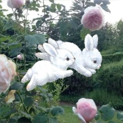 aaangelitas's profile picture