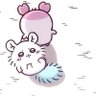 Profilbild von こんぶ