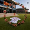 7 بنت عبدالله 🇲🇰's profile picture