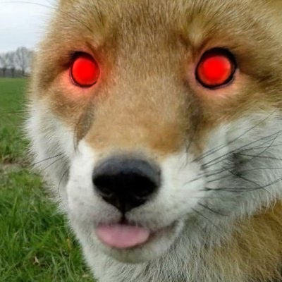 PasSiFolle's profile picture