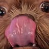 Trash.Panda29's profile picture