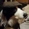 Фото профиля Dobbo1