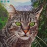 Украинский Молдованин's profile picture