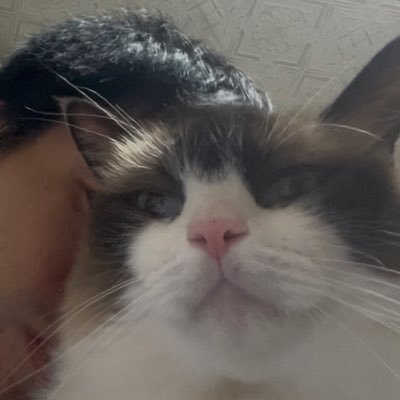 TAKASKE_'s profile picture