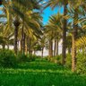 Фото профиля Hussam Ismail