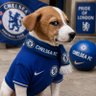 Profilbild von kybi ⚽