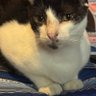 Profilbild von Ricardo