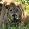 طارق profil fotoğrafı