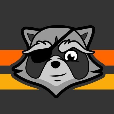 Raccoon Logic | Breakaway Hockey League 🏒's profile picture