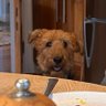 Sam's profile picture
