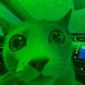 Echo's profile picture