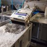 Profilbild von THE REVOLUTIONARY ACTIVIST ⛓️💥