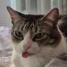 Profilbild von Duh Karay