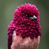 Graty value profil fotoğrafı