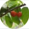 Athena's profile picture