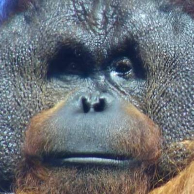 juice8882's profile picture