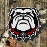 DVS8✟✟'s profile picture