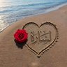 ساره المحمودي النجار 的头像