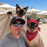 Profilbild von Vato with Gatos