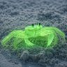 Ghost Crab 🫧 profil fotoğrafı