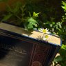 دَانِيَة الحَسَن 的头像