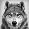 PrichyPG's profile picture