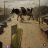 rodrihgo almeida profil fotoğrafı
