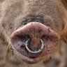 Profilbild von Offend