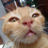 TVGLOWY's profile picture
