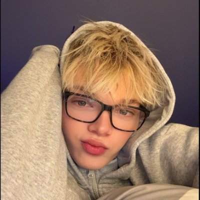 dammyhorvath's profile picture
