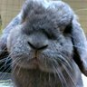 Profilbild von 秋山