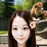 chiseki profil fotoğrafı