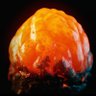 Terminid egg's profile picture