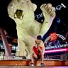 Nick🦁 的头像