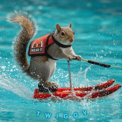 TWIGGY The Squirrel | FAN Page's profile picture