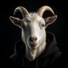 Фото профиля Goaty G