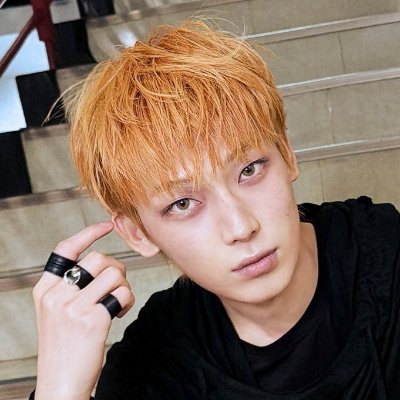 dollnooz's profile picture
