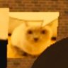Profilbild von loft tower 2 news