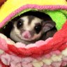 モコラテ's profile picture