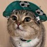 蛇果 | 网红模特经济's profile picture