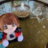 すい profil fotoğrafı
