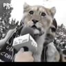 Profilbild von ÉGUA, NÃO!