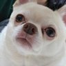 Profilbild von Y u k i