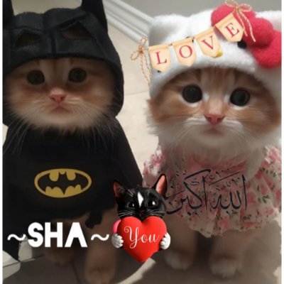 SHA~🇲🇾❤️🇹🇷 ~🕊🤲🏻❤️'s profile picture