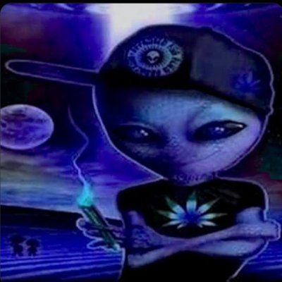 kez ( ° – ° )'s profile picture